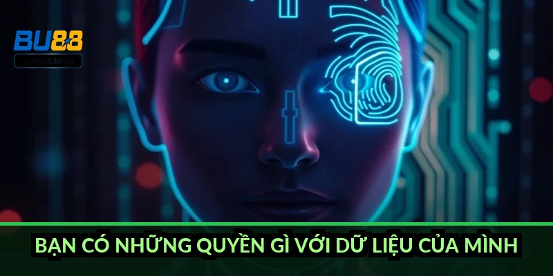 Bạn có những quyền gì với dữ liệu của mình?